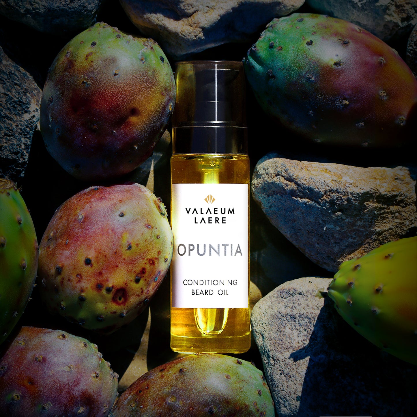 CONDITIONING BEARD OIL